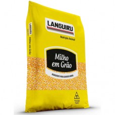 Milho Grão Languiru 5kg
