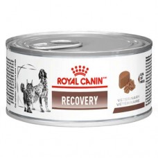 Ração Úmida Royal Canin Canine Feline Recovery Lata 195g