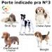 Casa Pra Cachorro Nº3 PeteAgro Casa Pra Cachorro Nº3 PeteAgro