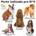 Casa Pra Cachorro Nº4 PeteAgro Casa Pra Cachorro Nº4 PeteAgro
