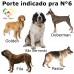 Casa Pra Cachorro Nº6 PeteAgro